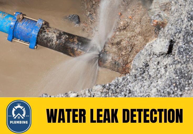 leak detection Sevenoaks